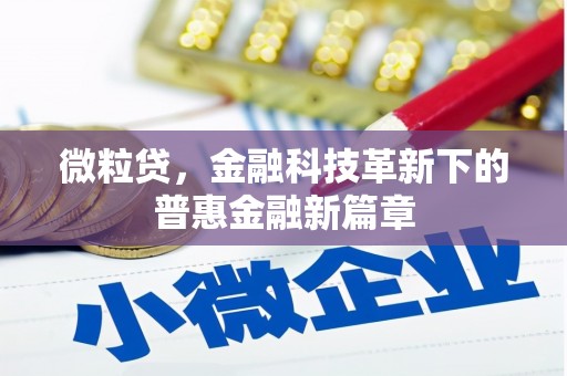 六横微粒贷，金融科技革新下的普惠金融新篇章