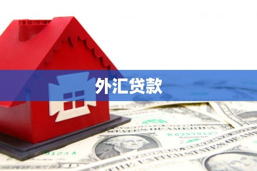 六横外汇贷款