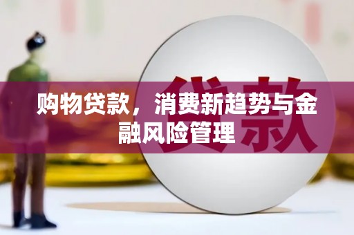 六横购物贷款，消费新趋势与金融风险管理
