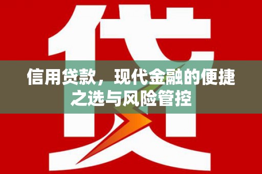 六横信用贷款，现代金融的便捷之选与风险管控