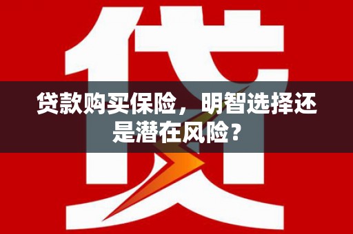 六横贷款购买保险，明智选择还是潜在风险？