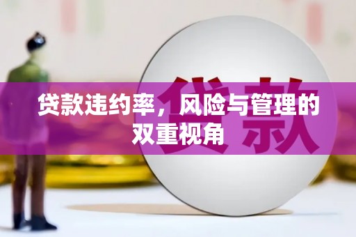 六横贷款违约率，风险与管理的双重视角