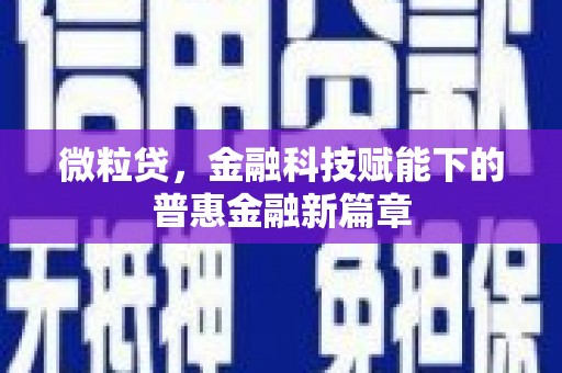 六横微粒贷，金融科技赋能下的普惠金融新篇章