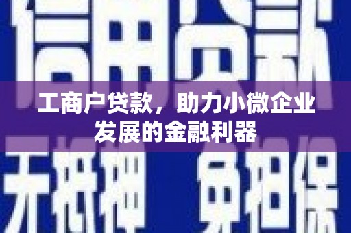 六横工商户贷款，助力小微企业发展的金融利器