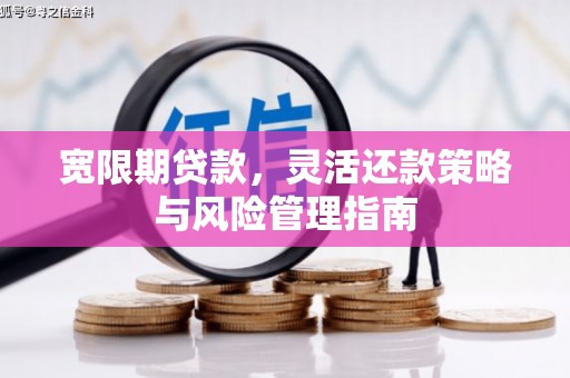 六横宽限期贷款，灵活还款策略与风险管理指南