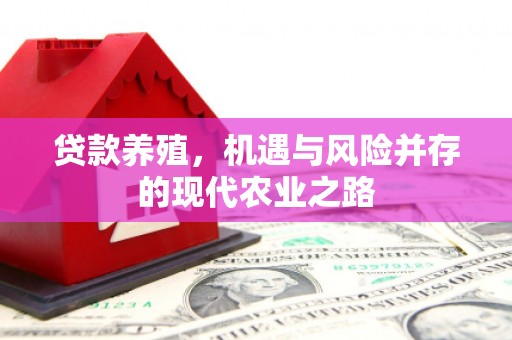 六横贷款养殖，机遇与风险并存的现代农业之路
