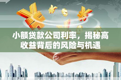 六横小额贷款公司利率，揭秘高收益背后的风险与机遇