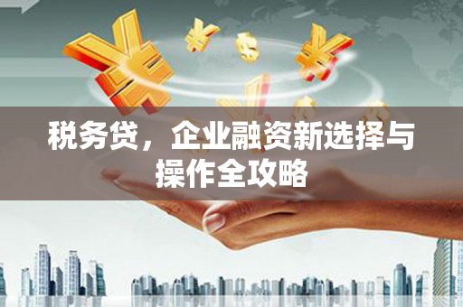 六横税务贷，企业融资新选择与操作全攻略