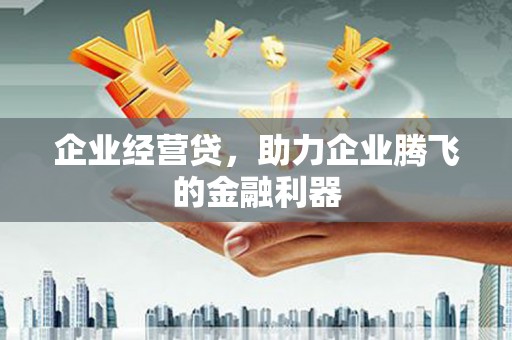 六横企业经营贷，助力企业腾飞的金融利器