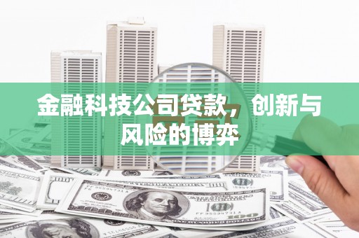 六横金融科技公司贷款，创新与风险的博弈