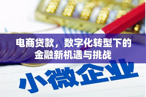六横电商贷款，数字化转型下的金融新机遇与挑战