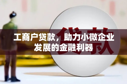 六横工商户贷款，助力小微企业发展的金融利器
