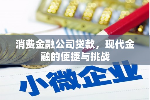 六横消费金融公司贷款，现代金融的便捷与挑战