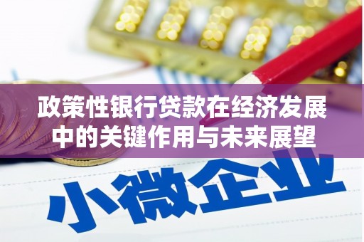 六横政策性银行贷款在经济发展中的关键作用与未来展望