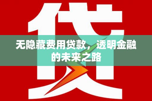 六横无隐藏费用贷款，透明金融的未来之路