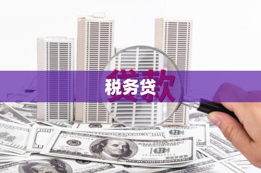 六横税务贷