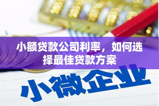 六横小额贷款公司利率，如何选择最佳贷款方案