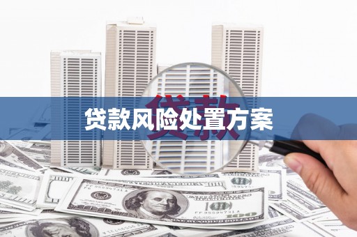 六横贷款风险处置方案