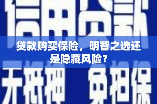 六横贷款购买保险，明智之选还是隐藏风险？