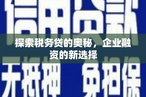 六横探索税务贷的奥秘，企业融资的新选择