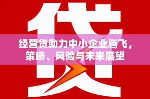 六横经营贷助力中小企业腾飞，策略、风险与未来展望