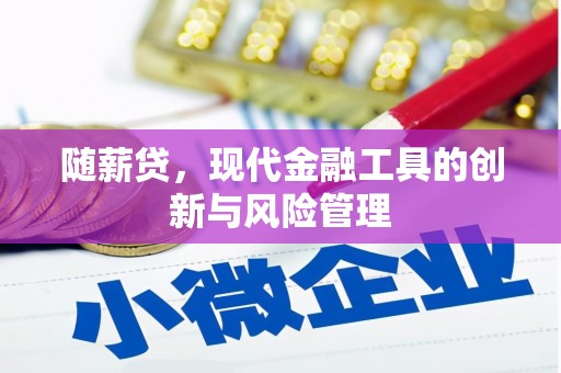 六横随薪贷，现代金融工具的创新与风险管理