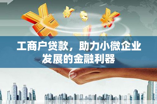 六横工商户贷款，助力小微企业发展的金融利器