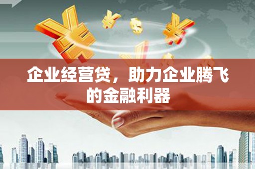 六横企业经营贷，助力企业腾飞的金融利器