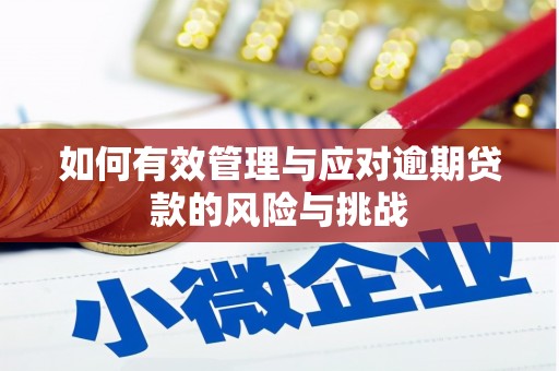 六横如何有效管理与应对逾期贷款的风险与挑战