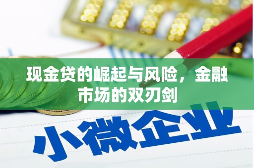 六横现金贷的崛起与风险，金融市场的双刃剑