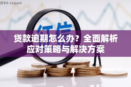 六横贷款逾期怎么办？全面解析应对策略与解决方案