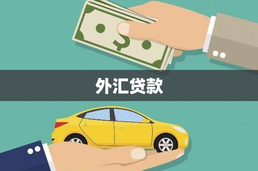 六横外汇贷款