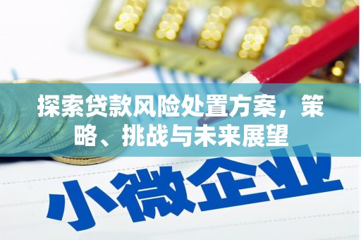 六横探索贷款风险处置方案，策略、挑战与未来展望