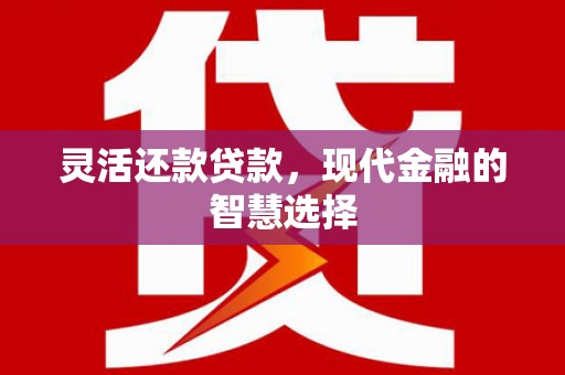 六横灵活还款贷款，现代金融的智慧选择