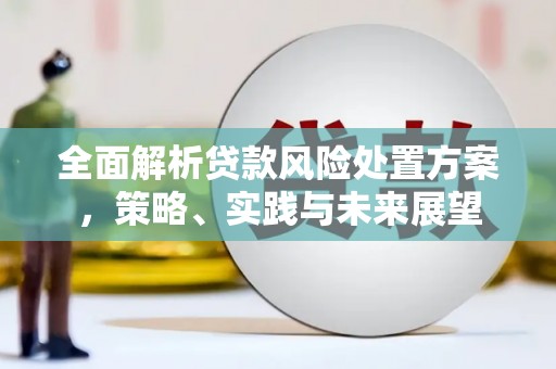 六横全面解析贷款风险处置方案，策略、实践与未来展望