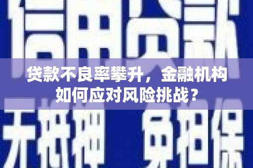 六横贷款不良率攀升，金融机构如何应对风险挑战？