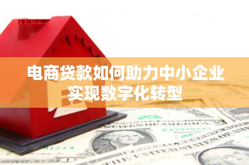 六横电商贷款如何助力中小企业实现数字化转型