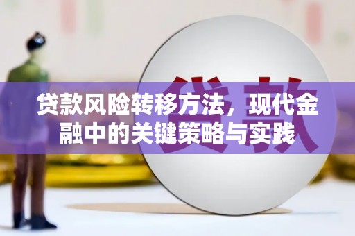 六横贷款风险转移方法，现代金融中的关键策略与实践