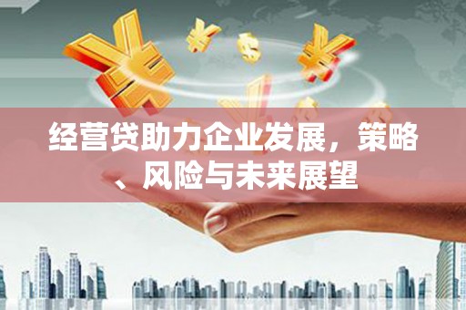 六横经营贷助力企业发展，策略、风险与未来展望