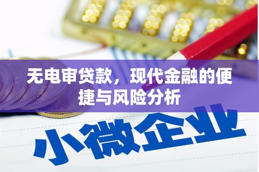 六横无电审贷款，现代金融的便捷与风险分析
