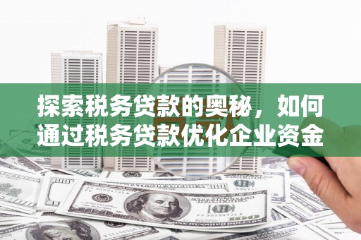 六横探索税务贷款的奥秘，如何通过税务贷款优化企业资金流
