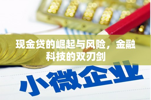 六横现金贷的崛起与风险，金融科技的双刃剑