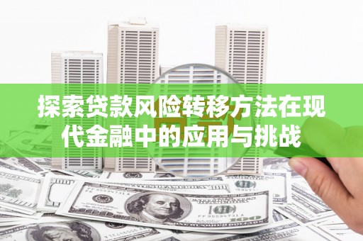 六横探索贷款风险转移方法在现代金融中的应用与挑战