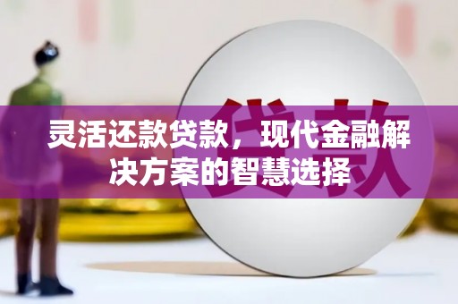 六横灵活还款贷款，现代金融解决方案的智慧选择