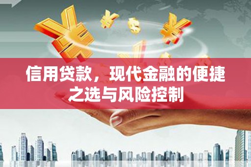 六横信用贷款，现代金融的便捷之选与风险控制
