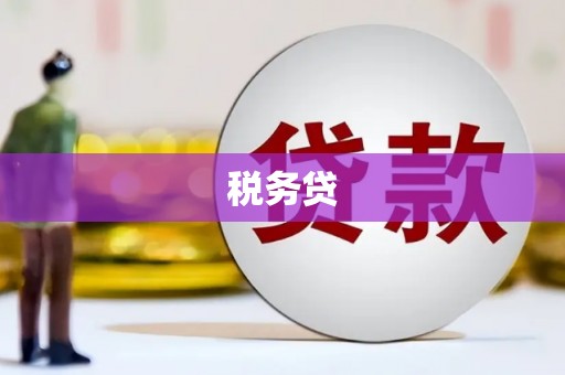六横税务贷
