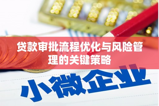 六横贷款审批流程优化与风险管理的关键策略