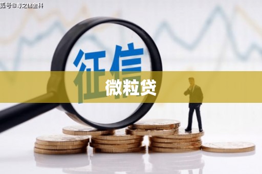 六横微粒贷