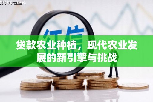 六横贷款农业种植，现代农业发展的新引擎与挑战