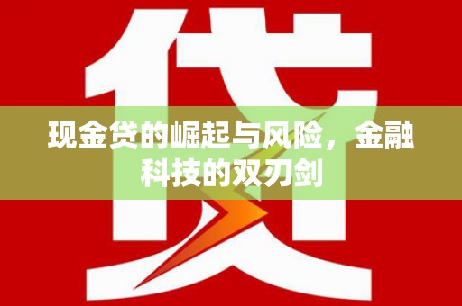 六横现金贷的崛起与风险，金融科技的双刃剑